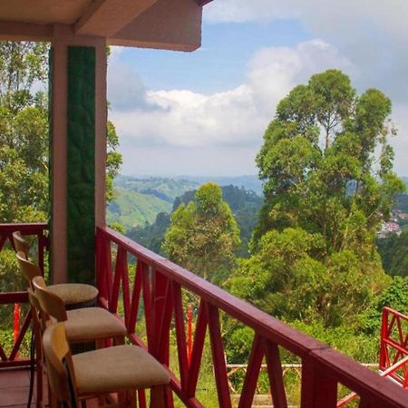 Hotel Natura Cocora Саленто Экстерьер фото