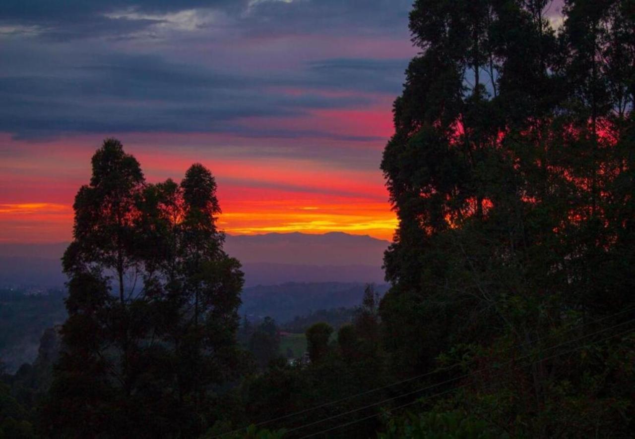 Hotel Natura Cocora Саленто Экстерьер фото